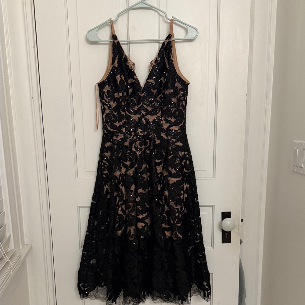 Dress the Population Black and Tan Lace Midi Dress